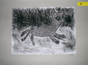 KONICA MINOLTA DIGITAL CAMERA