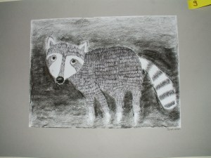 Schnauzentiere Kl. 4 Zeichnung mit Finliner, Ergänzung mit Kohle 